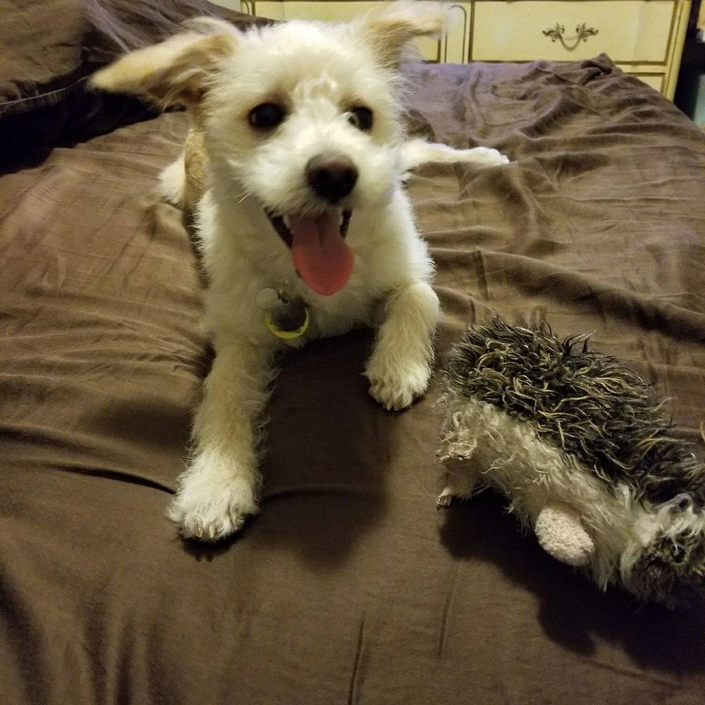 Meet your Posher, Jacquelyn